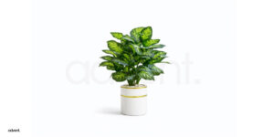 Artificial potted plant (001)