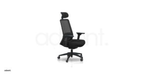 Meeting Chair